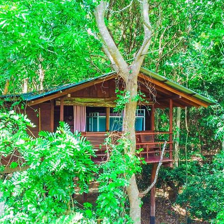 Jungle Host Hostel And Tree House Sigiriya Bagian luar foto