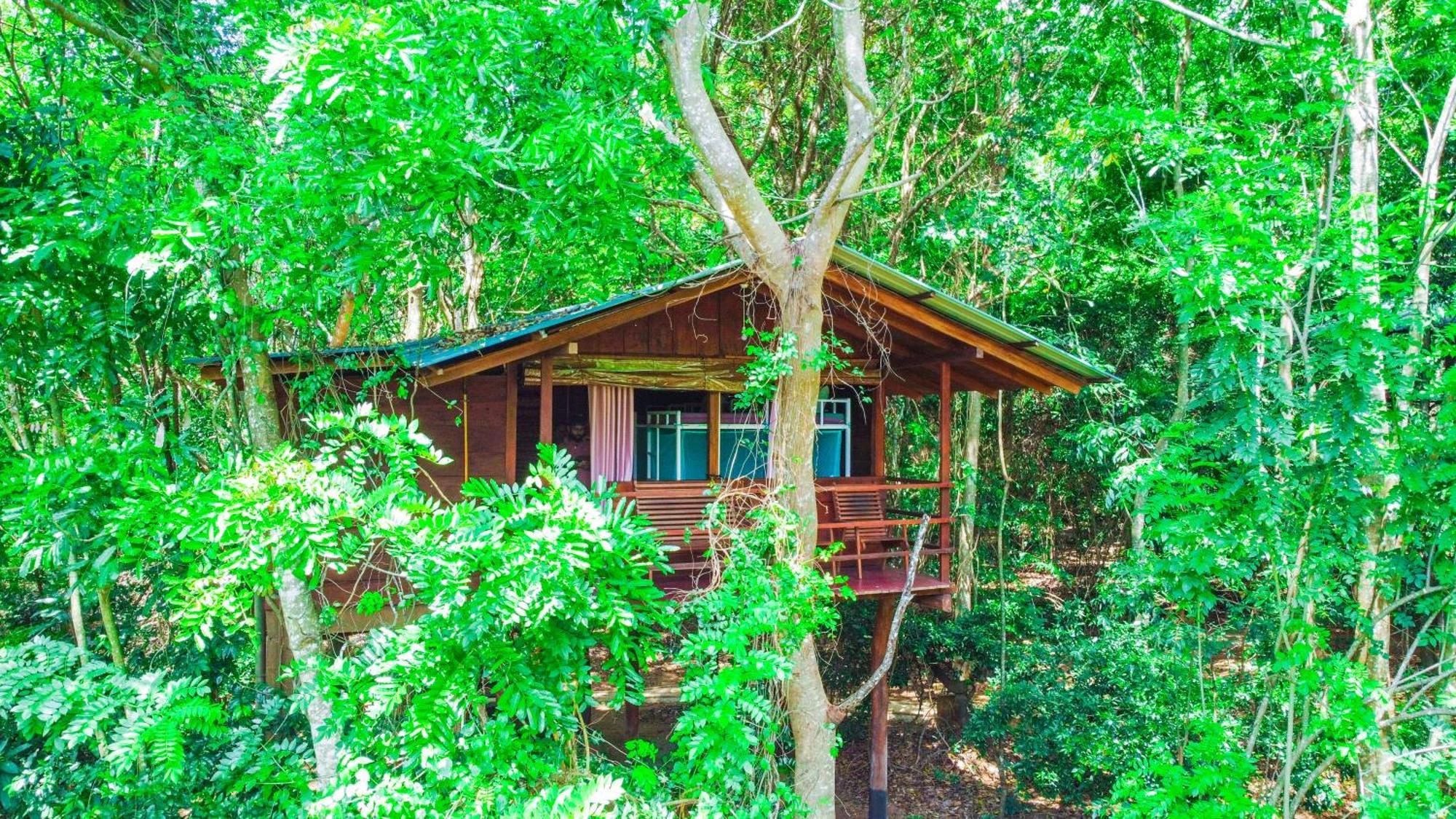 Jungle Host Hostel And Tree House Sigiriya Bagian luar foto