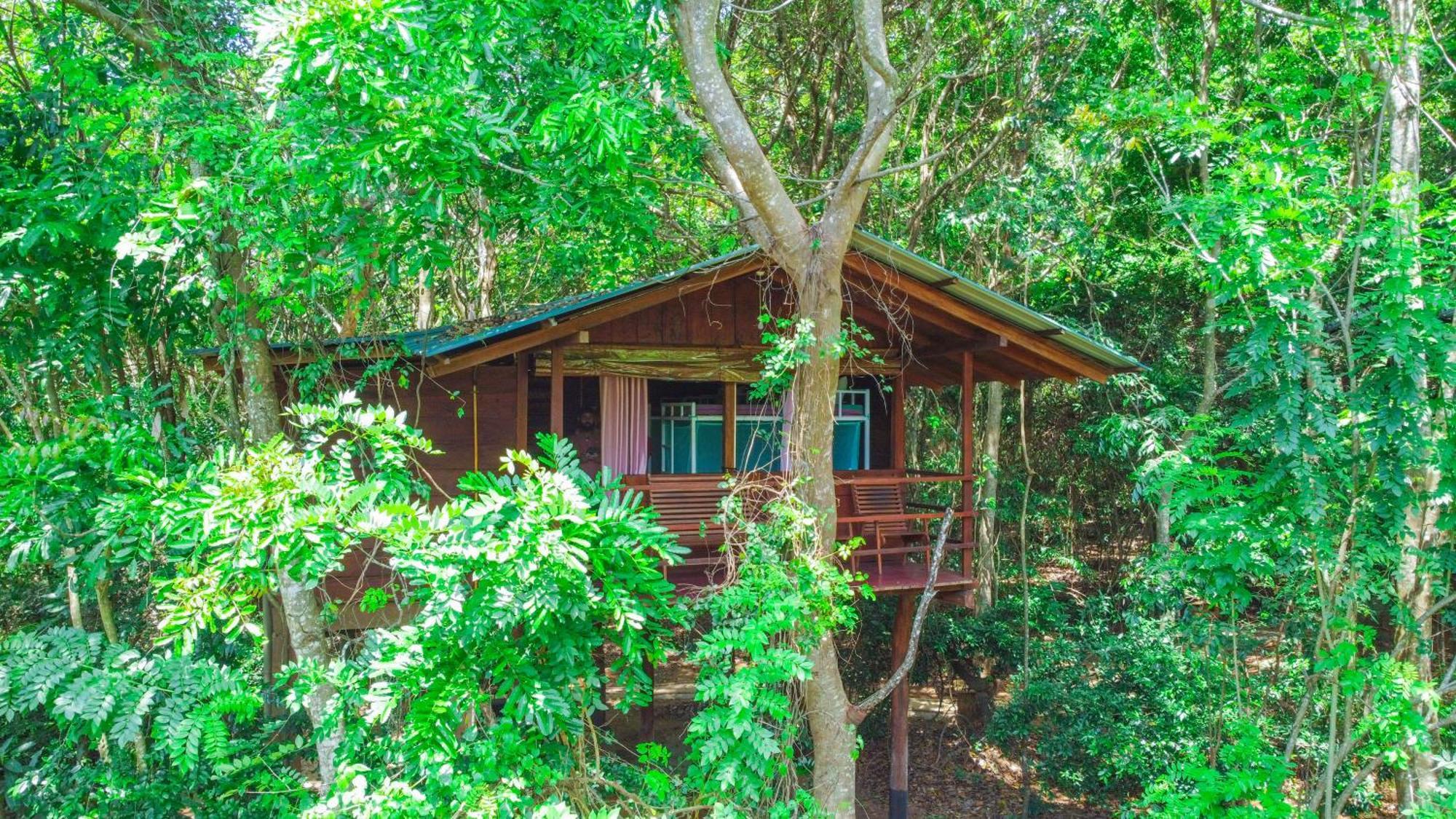 Jungle Host Hostel And Tree House Sigiriya Bagian luar foto