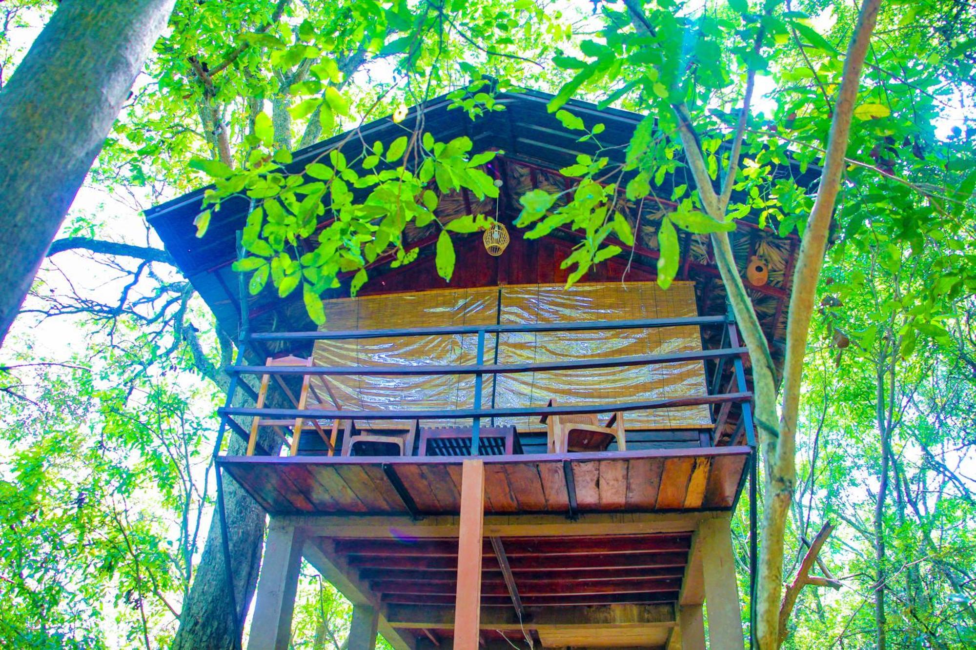 Jungle Host Hostel And Tree House Sigiriya Bagian luar foto