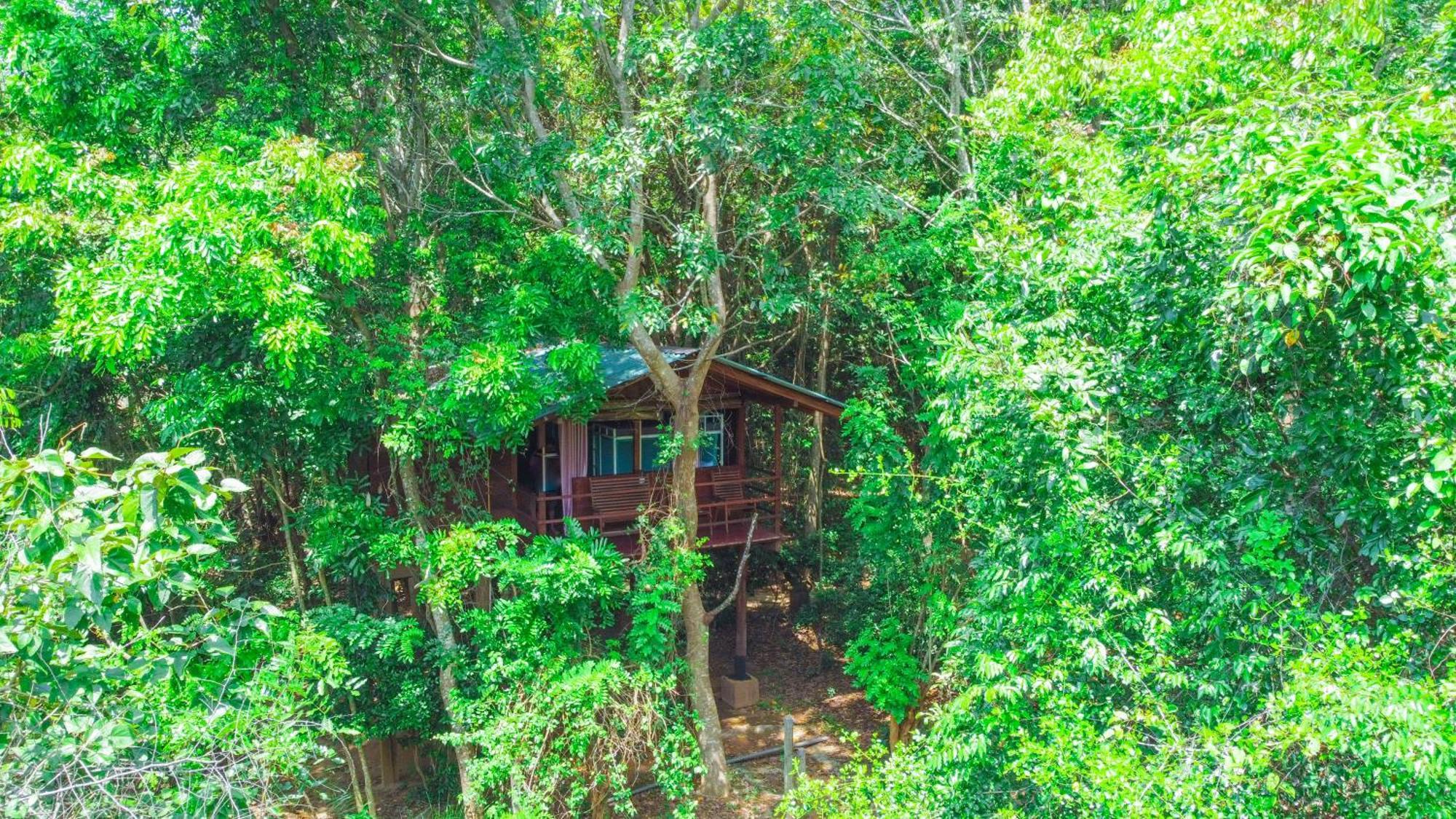 Jungle Host Hostel And Tree House Sigiriya Bagian luar foto